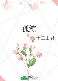 孤鲸的文案高级感