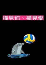 撞见你的心