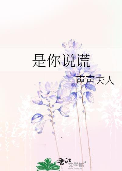 是你说谎by轻轻夫人