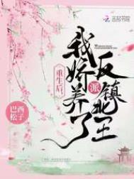 我娇养了反派镇北王 著