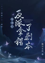 穿书后反派去哪了