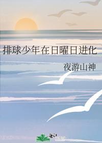 排球少年日向cp