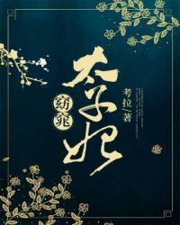 窈窕公子医女好逑
