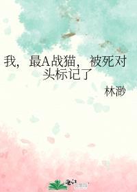 被死对头标记了番外笔趣阁