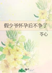 假少爷怀孕后不争了晋江