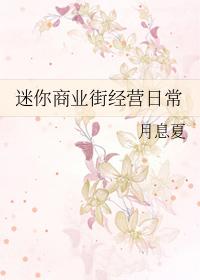 迷你商业街经营日常TXT