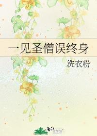一见圣僧误终身晋江文学城