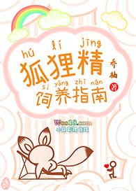 狐狸精饲养指南讲的什么