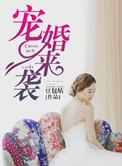 宠婚阅读全文原文