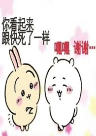 nds口袋妖怪顺序