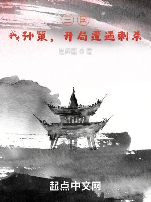 三国开局成为孙策的首席谋士免费