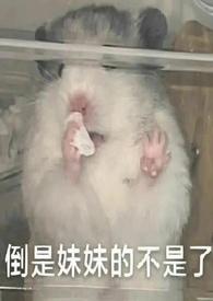 她太投入免费阅