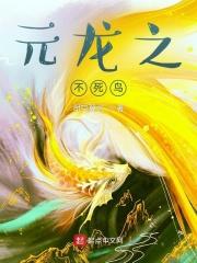 元龙如何