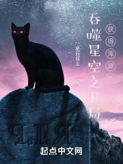 吞噬星空之开局获得浑源级传承3Q