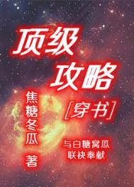 顶级攻略[穿书