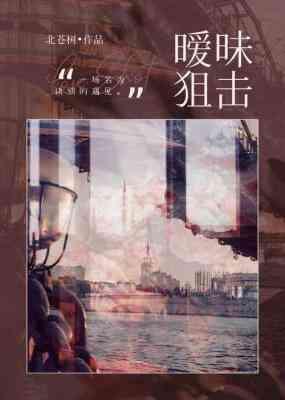 暧昧狙击by北苍树免费阅读讲的什么