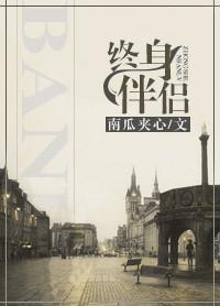 终身伴侣by南瓜夹心全文免费