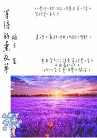 等待的薰衣草爱情