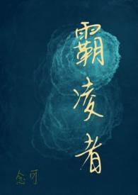 霸凌者(校园H)作者念可