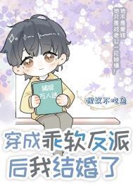 穿成乖软反派后我结婚了讲了什么