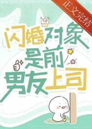 闪婚对象是前男友上司作者解冻湖水