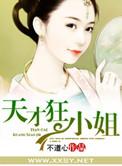 天才狂少简介