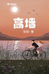 高墙边的混乱 第二季 电视剧剧情