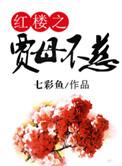 红楼之贾母不慈全文免费阅读