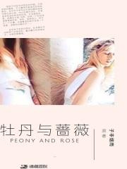 牡丹与玫瑰电影
