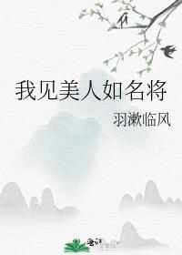 我见美人如名将讲了什么