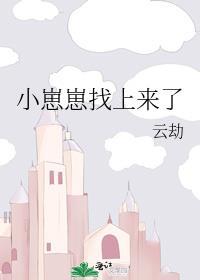 小崽崽找上来了云劫