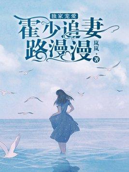 霍少独占