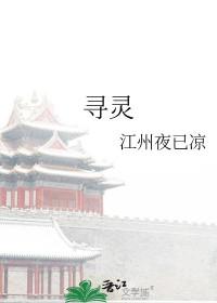 寻灵大冒险安装