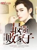 最强败家子内置菜单