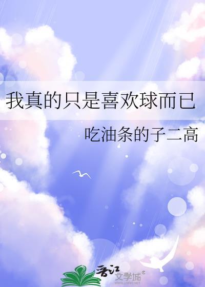 我真的只是喜欢球而已TXT笔趣阁