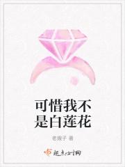 可惜我不是白鸽