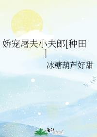 娇宠屠夫小夫郎种田冰糖葫芦在哪可以看全文