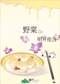 野棠如炽讲的什么