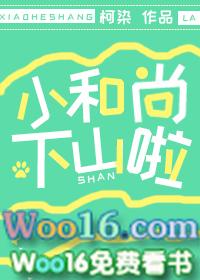 小和尚下山啦的结局