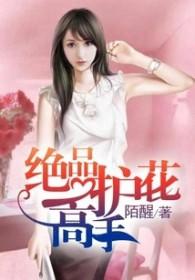绝品护花高手短剧免费观看