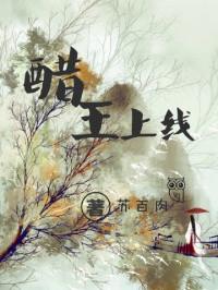 醋王视频