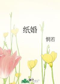 纸婚by惘若免费