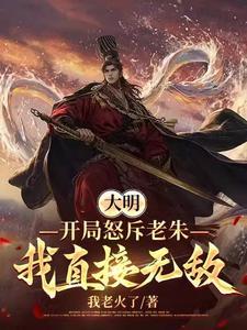 明朝大将军穿越到现代是什么电视
