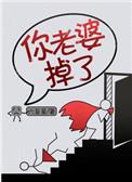 你老婆掉了六盲星txt