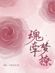 魂牵梦绕全文阅读