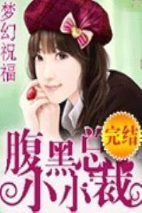 腹黑总裁小小妻全文