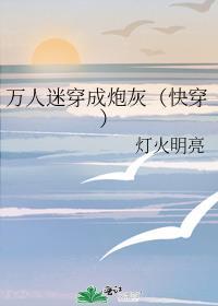 万人迷穿成炮灰女配快