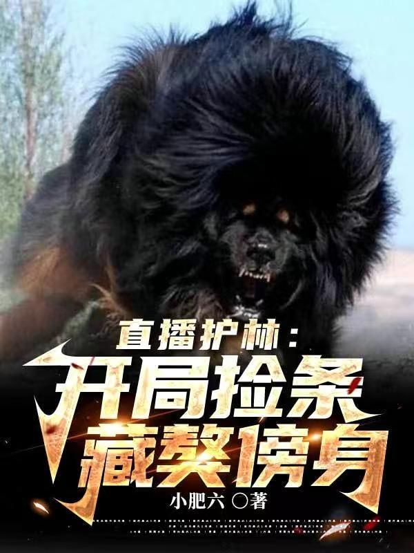 直播护林开局捡条藏獒傍身