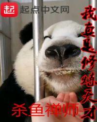 我真是修炼天才简介