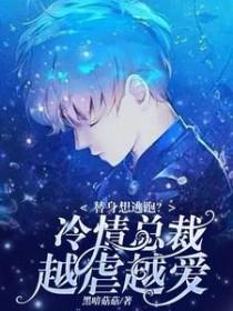 掌中雀by弃吴钩TXT免费